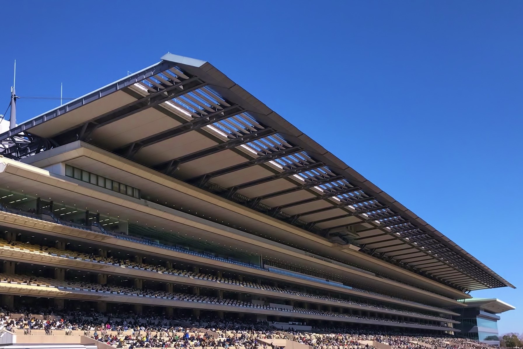 JRA 東京競馬場